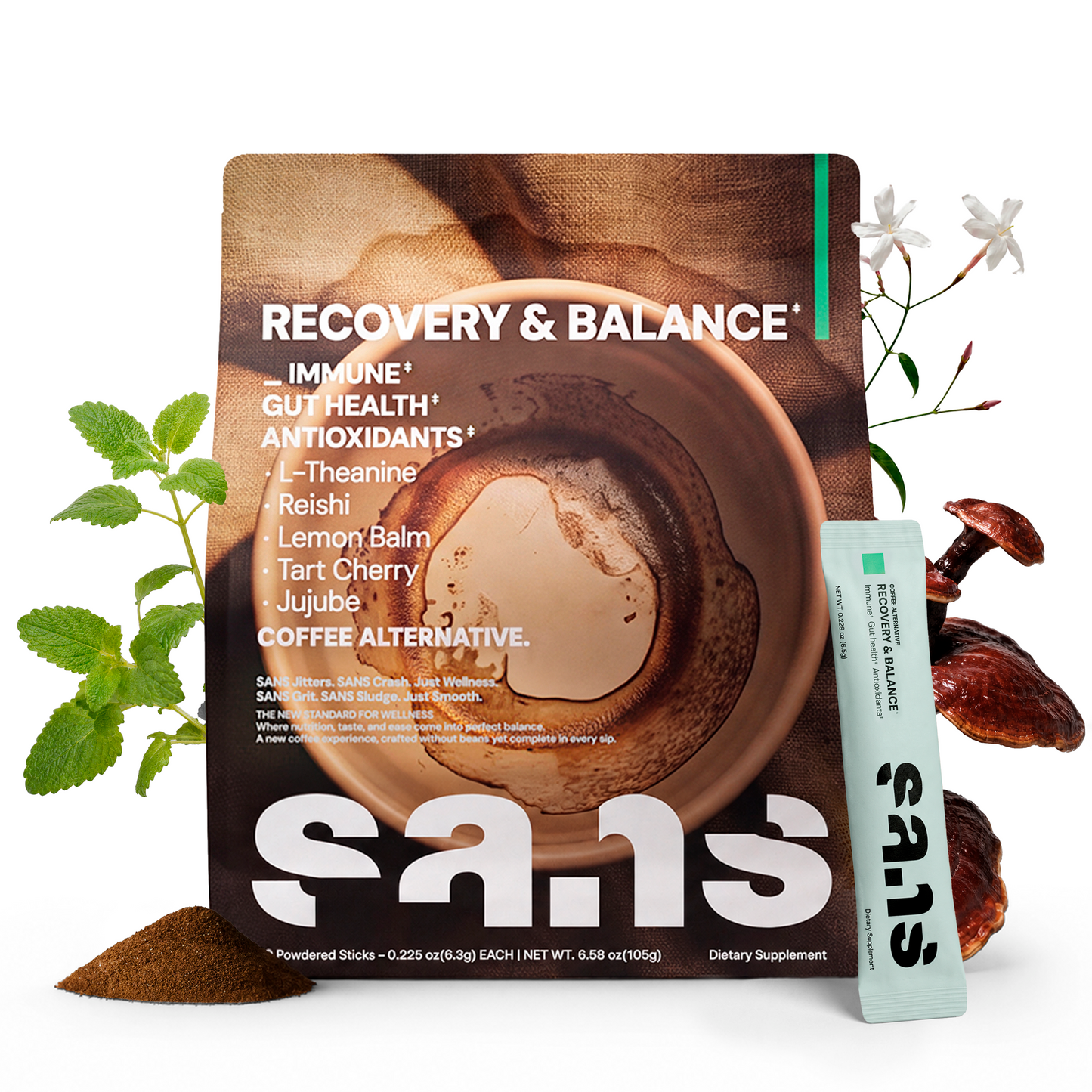 SANS RECOVERY & BALANCE