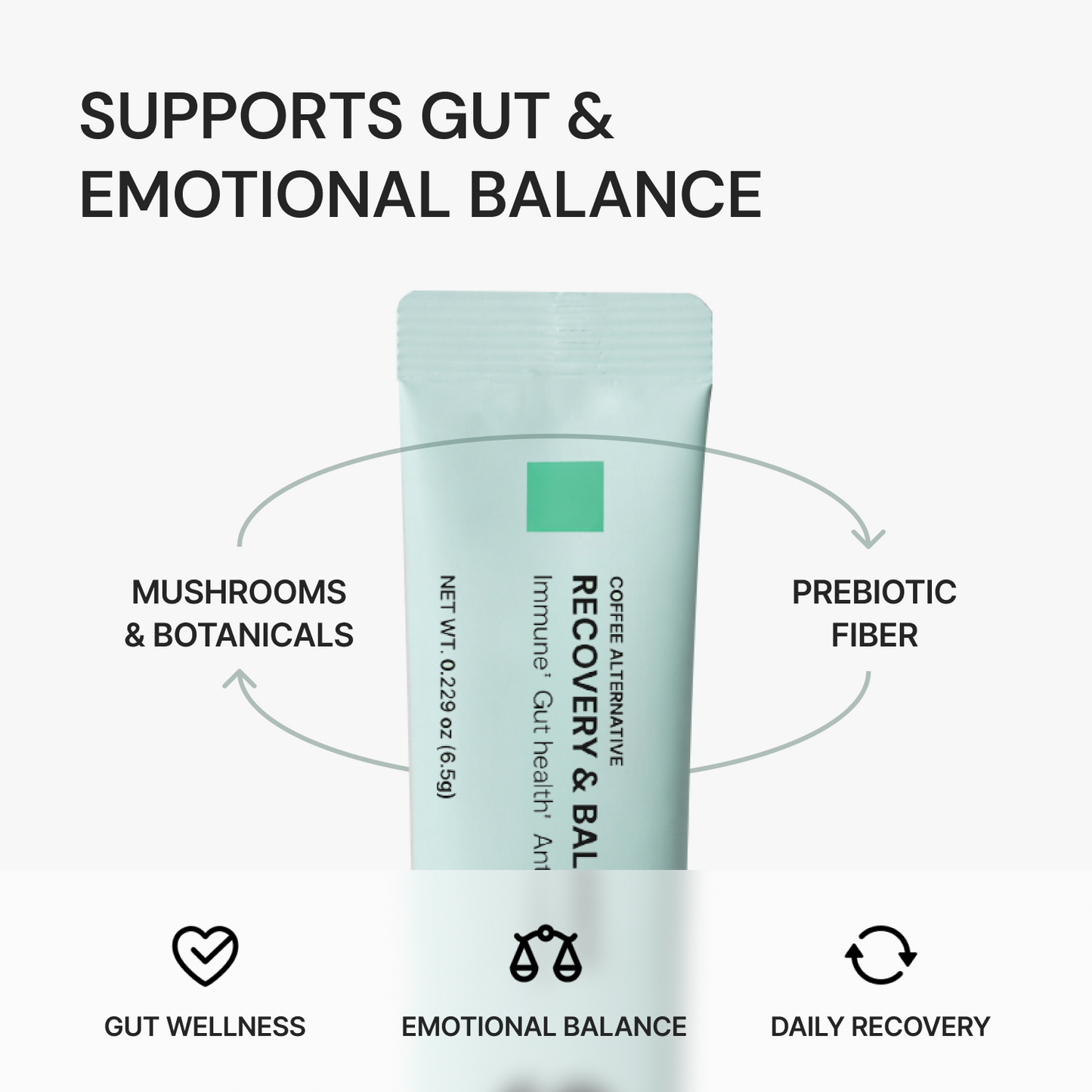 SANS RECOVERY & BALANCE