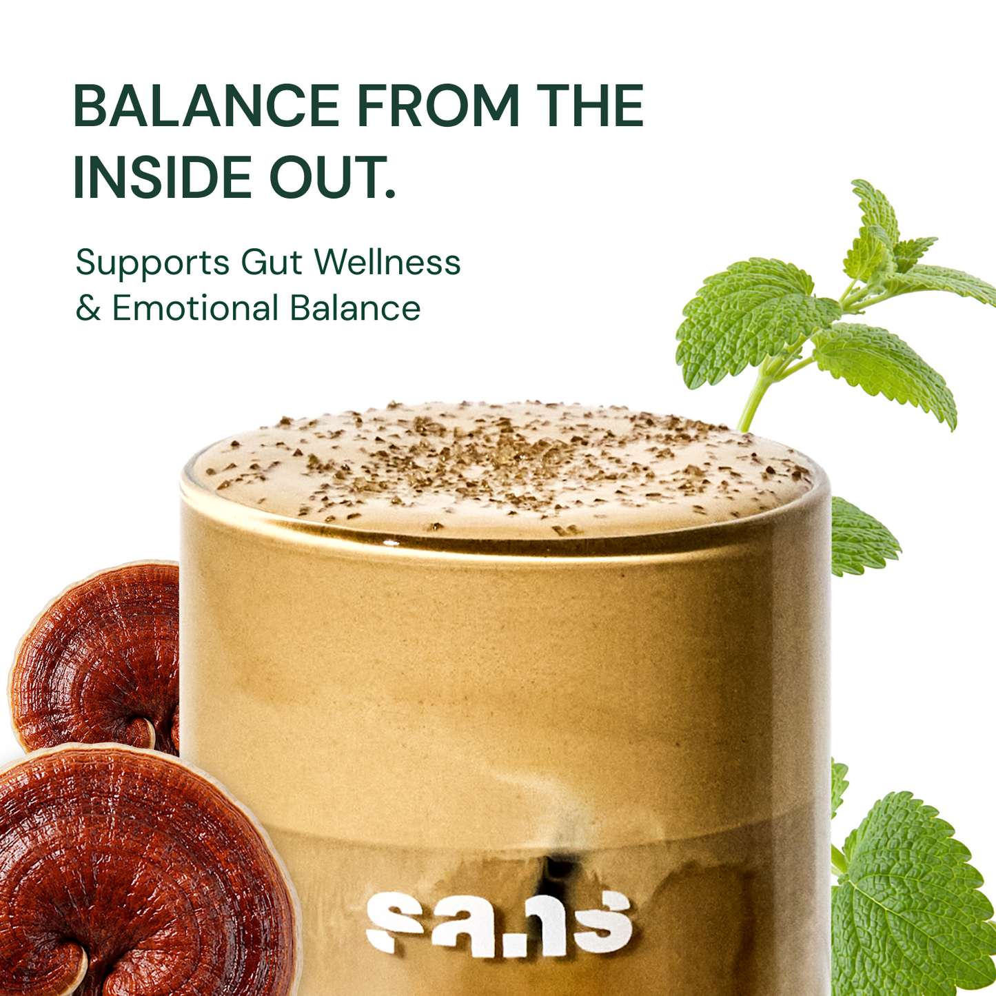 SANS RECOVERY & BALANCE